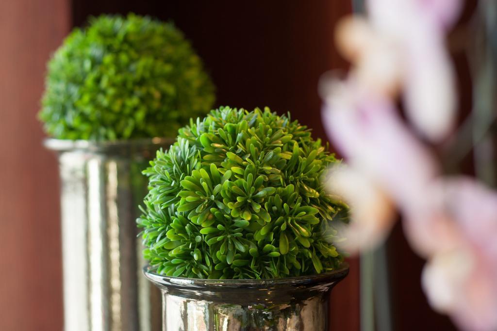 Xavin Wellness Hotel&restaurant